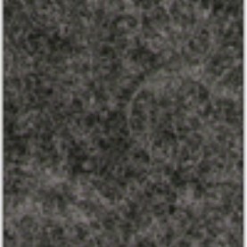 Focus_col_60312.jpg